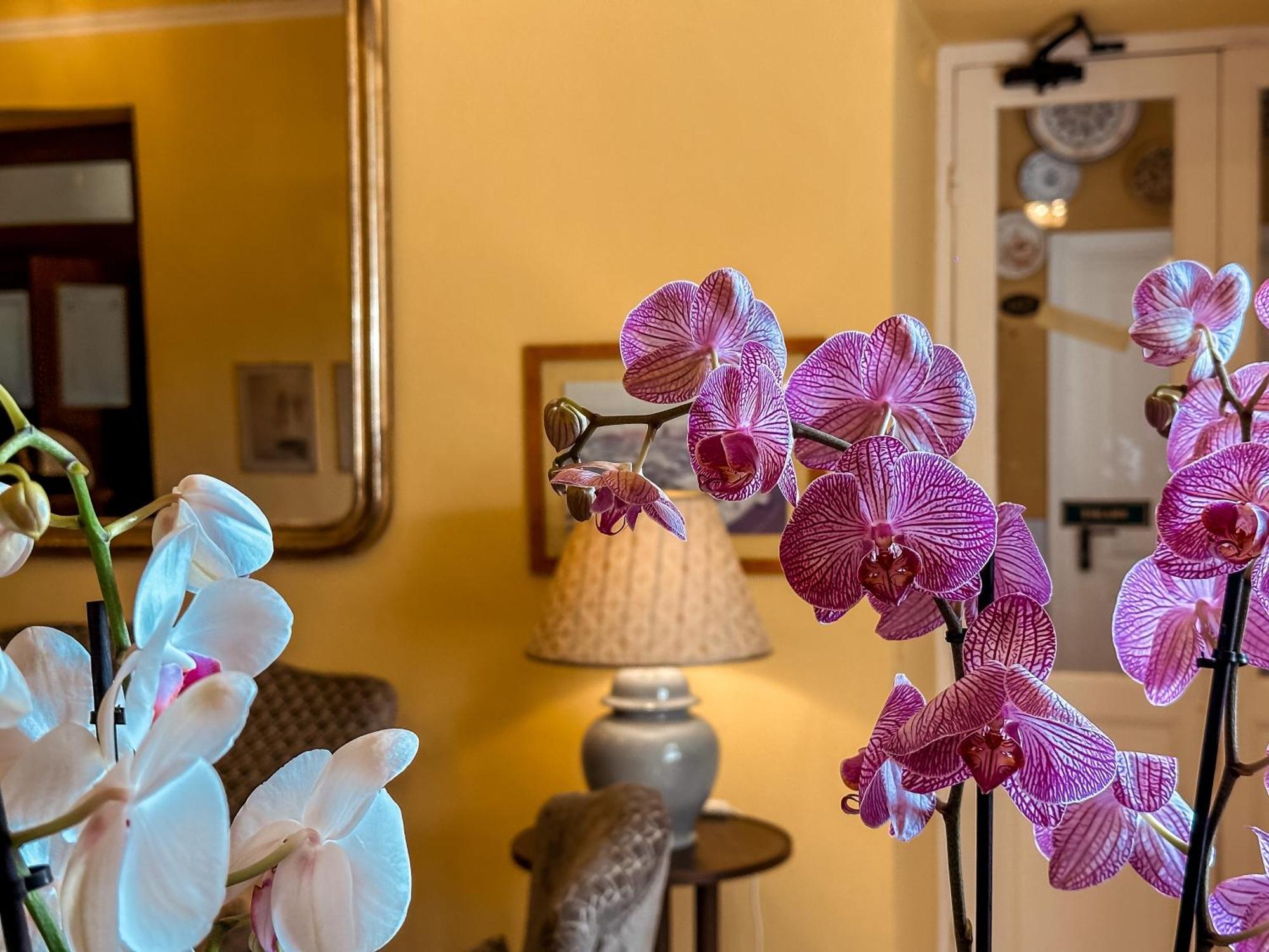 Hotel Villa Anita Σάντα Μαργκερίτα Λιγκούρε Εξωτερικό φωτογραφία